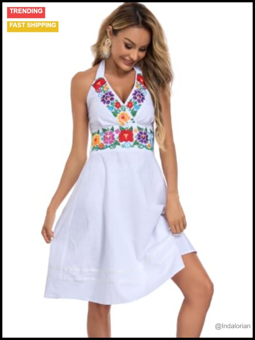 Embroidered Floral Halter V-Neck Sleeveless Swing Dress